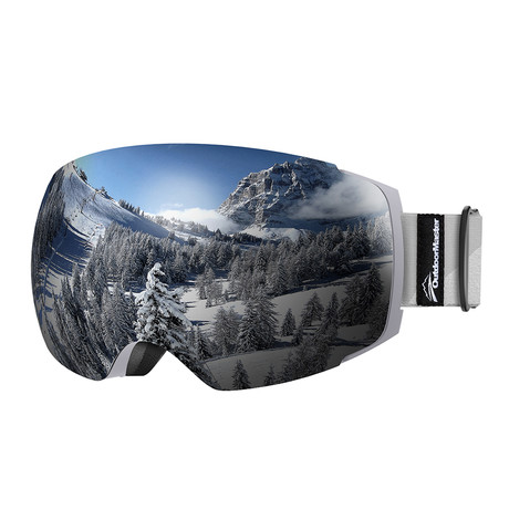 Ski Goggles PRO // Gray + Silver