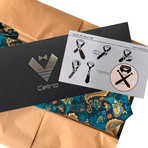 Silk Neck Tie + Gift Box // Multi Color Paisley
