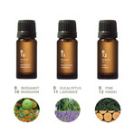 Botanical Air' Essential Oils // Set of 3