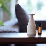 Hinoco Wood Diffuser + Koyamaki Oil