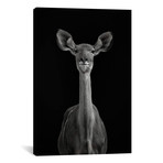 To Be Standing To Attention // Mathilde Guillemot