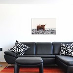 Highlander // Jaap Van Den