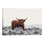 Highlander // Jaap Van Den