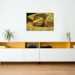 Yellow Snake In Shadow // Michael Fitzsimmons