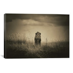 One-Eye Beast // Mohammed Alnaser (26"W x 18"H x 0.75"D)