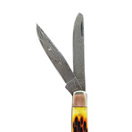 Damascus Folding Knife // Clip + Spey