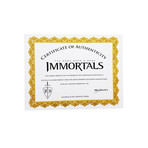 The Immortals // Officially Licensed Replica // Shield