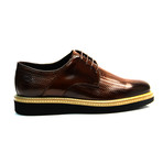Alejandro Derby Dress Shoes // Brown (Euro: 44)