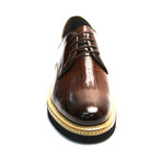 Alejandro Derby Dress Shoes // Brown (Euro: 43)