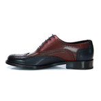 Florence Wingtip Dress Shoes // Dark Blue + Bordeaux (Euro: 43)