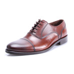 Pablo Oxford Dress Shoes // Brown (Euro: 42)