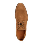Manchester Suede // Light Brown (Euro: 40)
