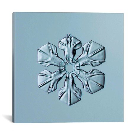 Sectored Plate Snowflake 001.3.02.2014 // Print Collection (18"W x 18"H x 0.75"D)