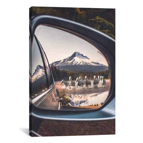 In The Rearview Mirror // Stephanie Paquot