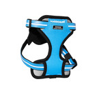 M1 Harness // Blue (Small)