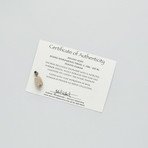 Egyptian Scarab // 1786-1567 BC // Set On Silver Pendant