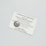 Alexander The Great // 336-323 BC Large Silver Coin