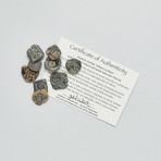 Group Of 10 Spanish “Pirate Money” Coins // 1598-1665 AD