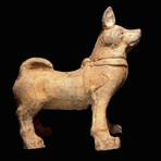Large Chinese Terracotta Dog - TL Tested // Han Dynasty China Ca. 221 BCE - 206 CE