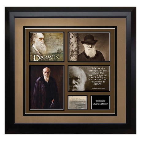 Signed + Framed Letter Collage // Charles Darwin