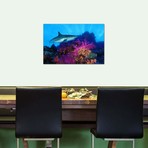 Caribbean Reef Shark + Soft Corals // Panoramic Images (26"W x 18"H x 0.75"D)