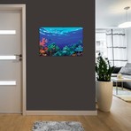 Underwater Coral Reef Community // Panoramic Images (26"W x 18"H x 0.75"D)