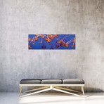 A Bloom of Jellyfish // Panoramic Images (36"W x 12"H x 0.75"D)