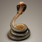 Cobra // Cast Bottle Display Stand