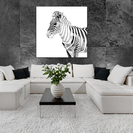 Zebra Mane (12"W x 12"H x 2"D)