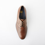 Ignacio Dress Shoe // Mahogany (Euro: 43)