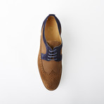 Daniel Dress Shoe // Blue + Brown (Euro: 42)