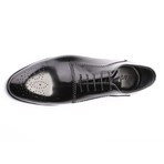 Pierresel Shoe // Black (Euro: 42)