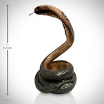 Cobra // Cast Bottle Display Stand