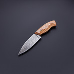 Fixed Blade Damascus Steel Skinning Knife // HB-0016