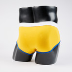 Classic Boy Brief // Gold + Royal (M)