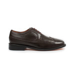 Jack's Andre // Men's Longwing Derby Shoe // Moka (US: 9.5)