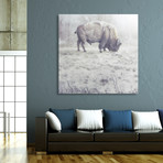 The Midwinter Dearth // Aluminum