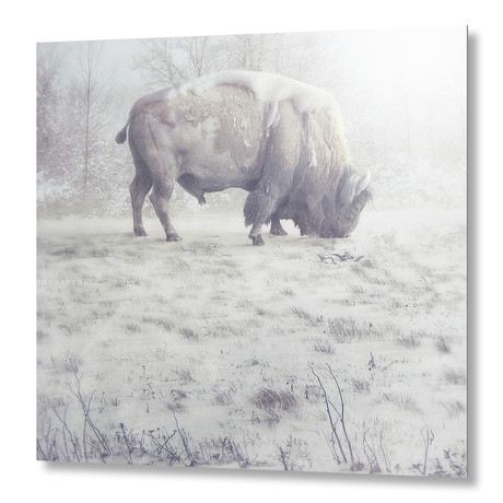 The Midwinter Dearth // Aluminum