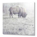 The Midwinter Dearth // Aluminum