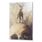 La Fin du Printemps // Aluminum