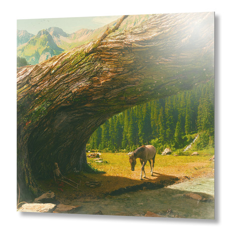 Where Only the Seasons Mark the Paths of Time // Aluminum