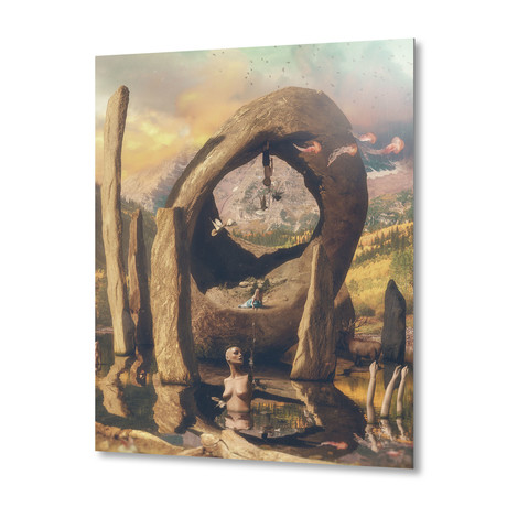 In the Woods... // Aluminum