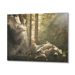 De Mysteriis Dom Satha-nap // Aluminum