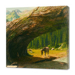 Where Only the Seasons Mark the Paths of Time // Canvas