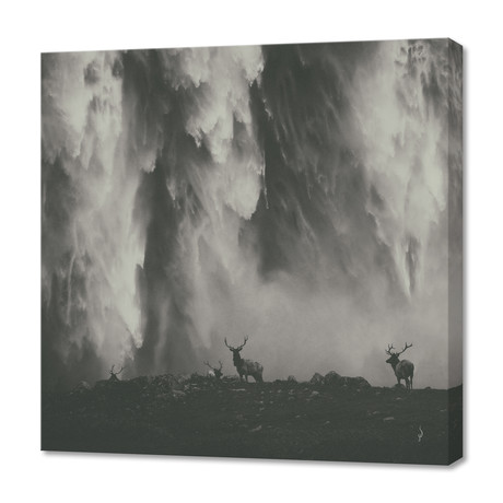 Ghosts // Canvas (16"W x 16"H x 1.5"D)