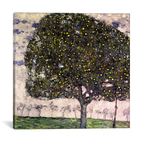 The Apple Tree II, 1916 by Gustav Klimt (18"W x 18"H x 0.75"D)