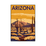 Arizona (9"W x 13.5"H x 1"D)