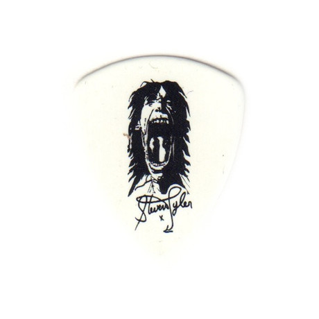 Steven Tyler Aerosmith (Pick Only)