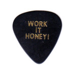 Eddie Van Halen // Gold (Pick Only)