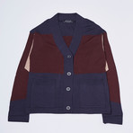Color Block Cardigan // Burgundy (S)